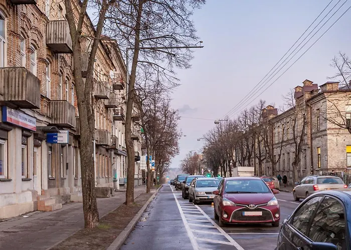 Cozy Naugarduko Apartments Close To Vilnius Old Town